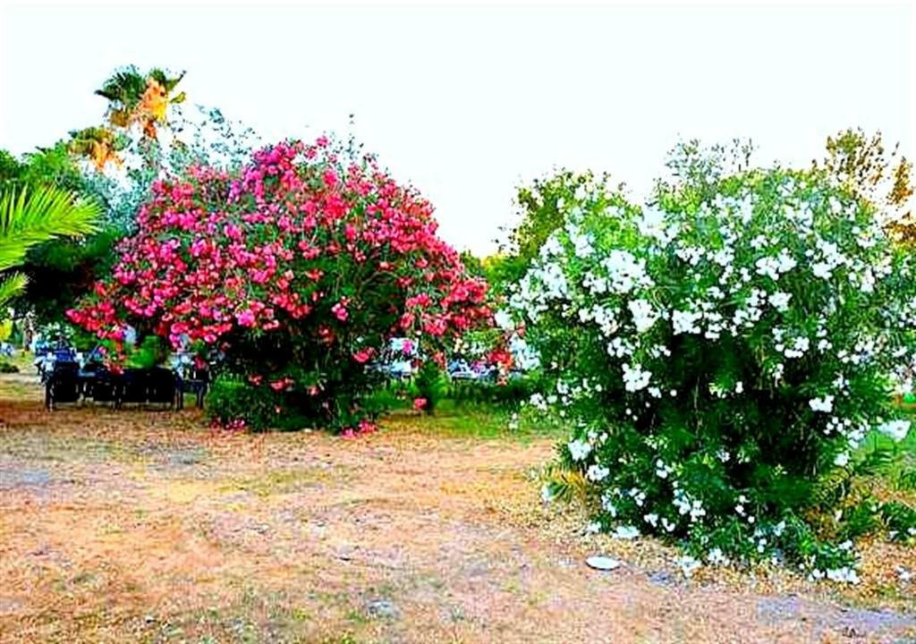 Aslihan Motel Anamur Bagian luar foto
