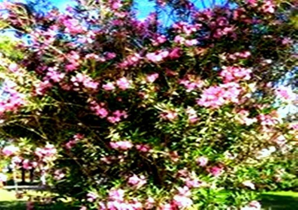 Aslihan Motel Anamur Bagian luar foto